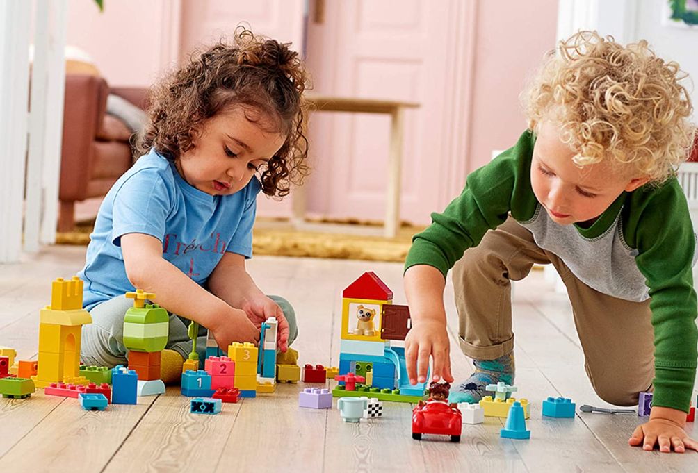 Bộ Thú Cưng Đầu Tiên Của Bé LEGO Duplo 10858 (18 Chi Tiết)