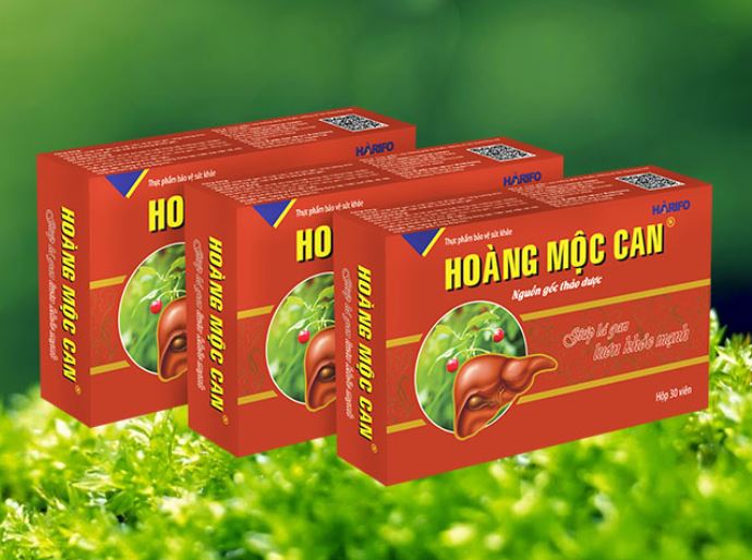 Hoàng Mộc Can – Giải Pháp Số 1 Cho Người Bệnh Gan