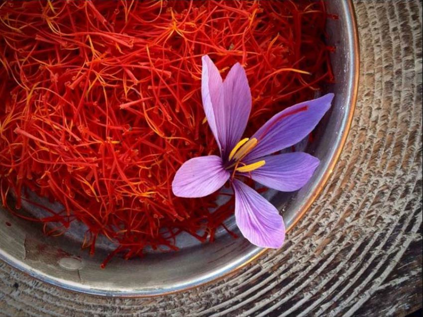 Saffron Nhụy Hoa Nghệ Tây 1 Thần Dược Vàng Đỏ Được Giới Quý Tộc Châu Âu Tin Dùng