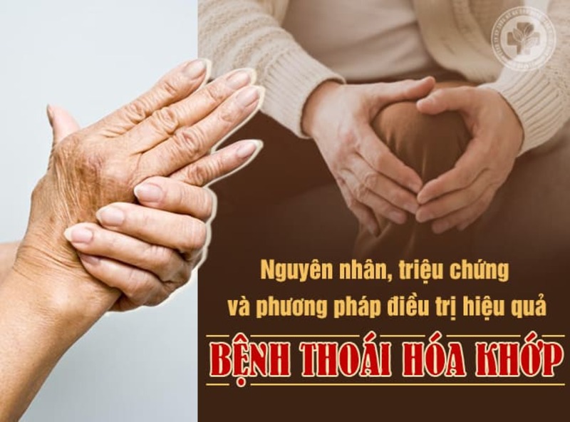 An Khớp Vương là sản phẩm Đông Y Gia Truyền chữa khớp có tác dụng mạnh nhất và hiệu quả nhất hiện nay 2020