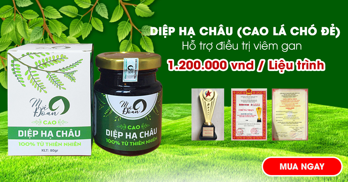 Cao Diệp Hạ Châu 1 Bí Quyết Điều Trị Viêm Gan, Giải Độc Gan