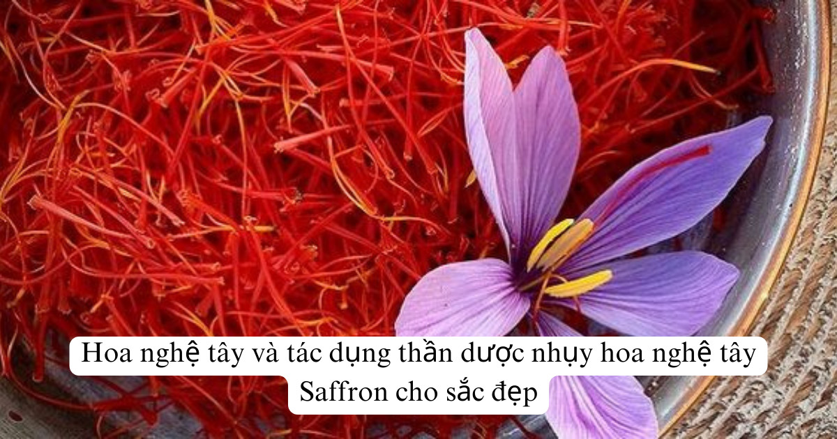 Nhụy hoa Nghệ Tây Saffron được mệnh danh là “hoàng đế” của các loại gia vị 2020