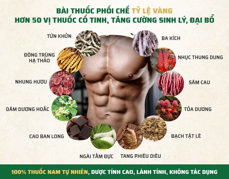 Sâm Kỳ Long Ngự | Khắc Phục Xuất Tinh Sớm Ở Nam Giới 2020