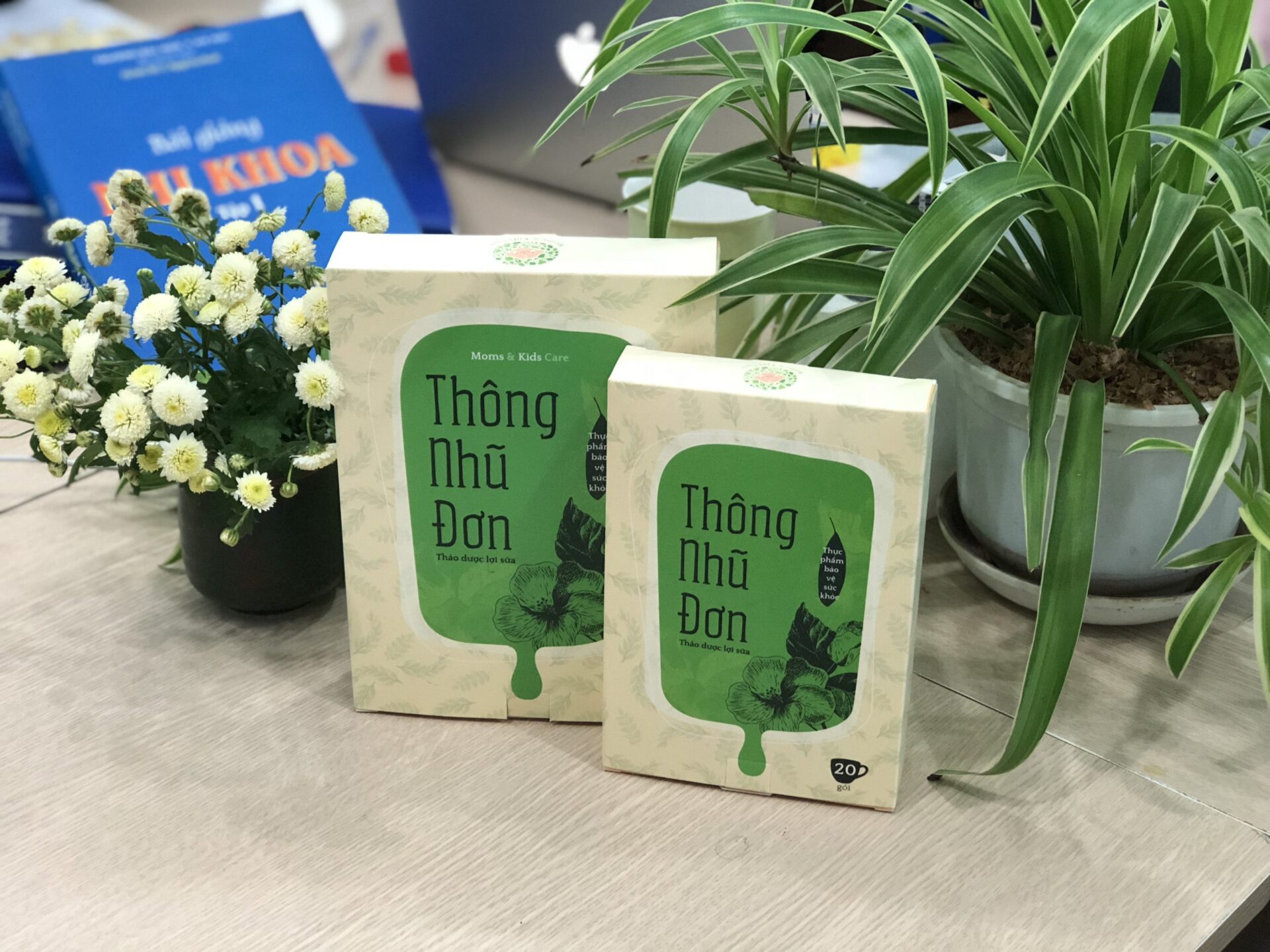 Thông Nhũ Đơn là 1 bài thuốc cổ trị mất sữa, ít sữa, sữa thiếu chất của Danh y Phó Thanh Chủ